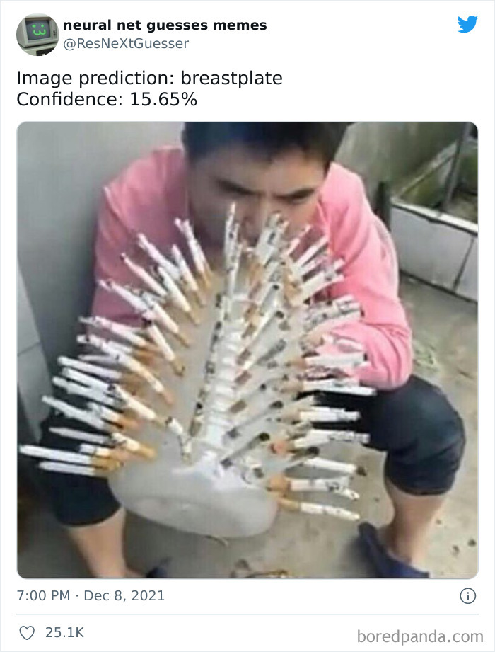 Neural-Net-Guesses-Memes-Pics