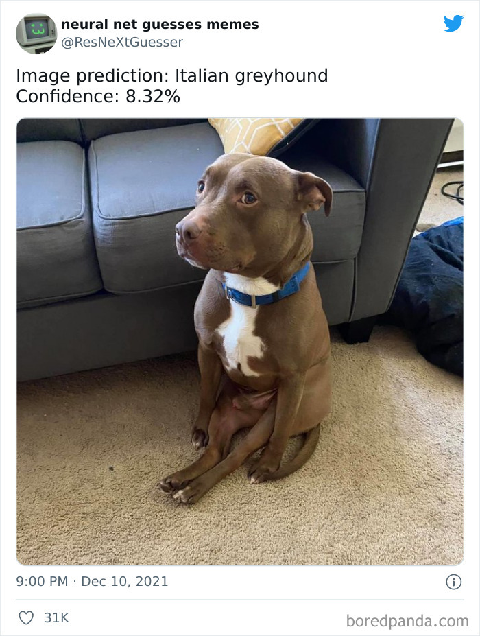 Neural-Net-Guesses-Memes-Pics