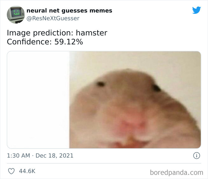 Neural-Net-Guesses-Memes-Pics
