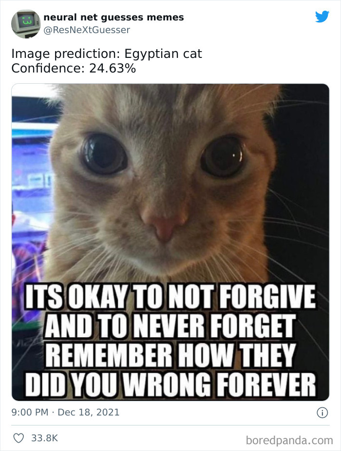 Neural-Net-Guesses-Memes-Pics