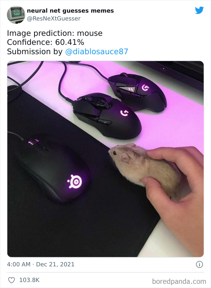 Neural-Net-Guesses-Memes-Pics