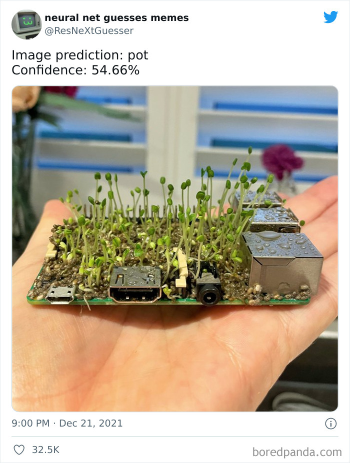 Neural-Net-Guesses-Memes-Pics