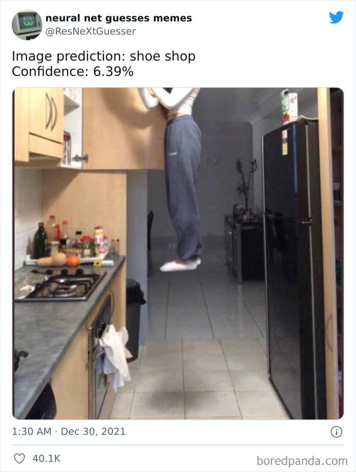 Neural-Net-Guesses-Memes-Pics