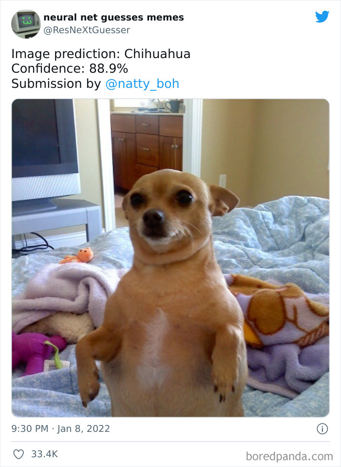 Neural-Net-Guesses-Memes-Pics