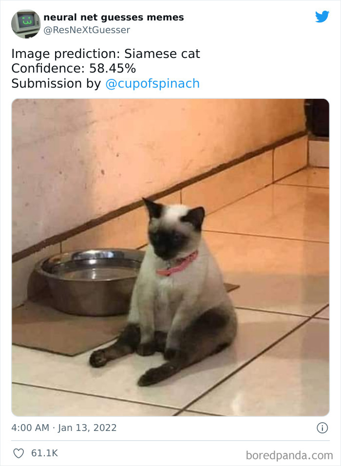 Neural-Net-Guesses-Memes-Pics