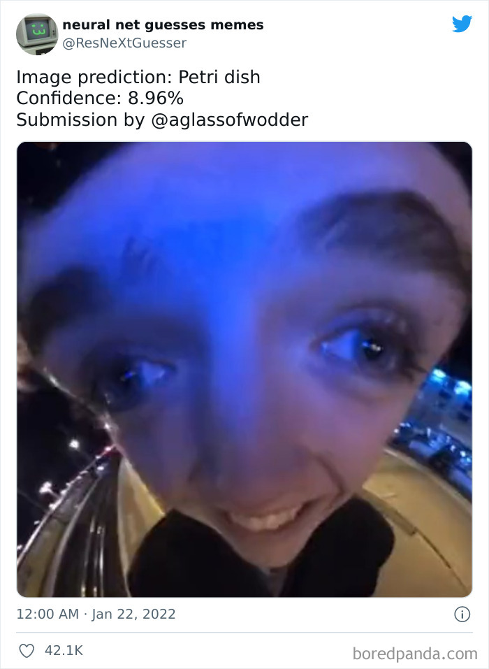 Neural-Net-Guesses-Memes-Pics