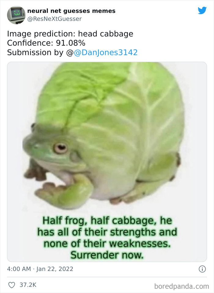 Neural-Net-Guesses-Memes-Pics
