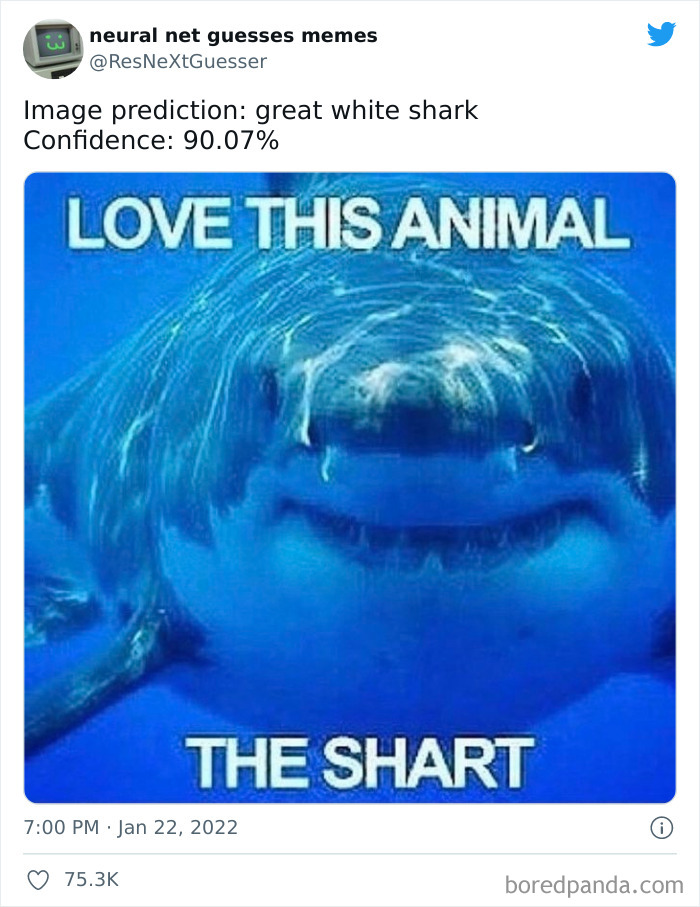 Neural-Net-Guesses-Memes-Pics