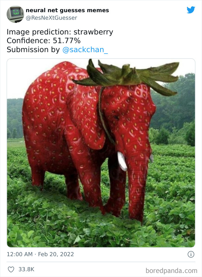 Neural-Net-Guesses-Memes-Pics