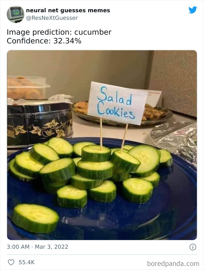 Neural-Net-Guesses-Memes-Pics