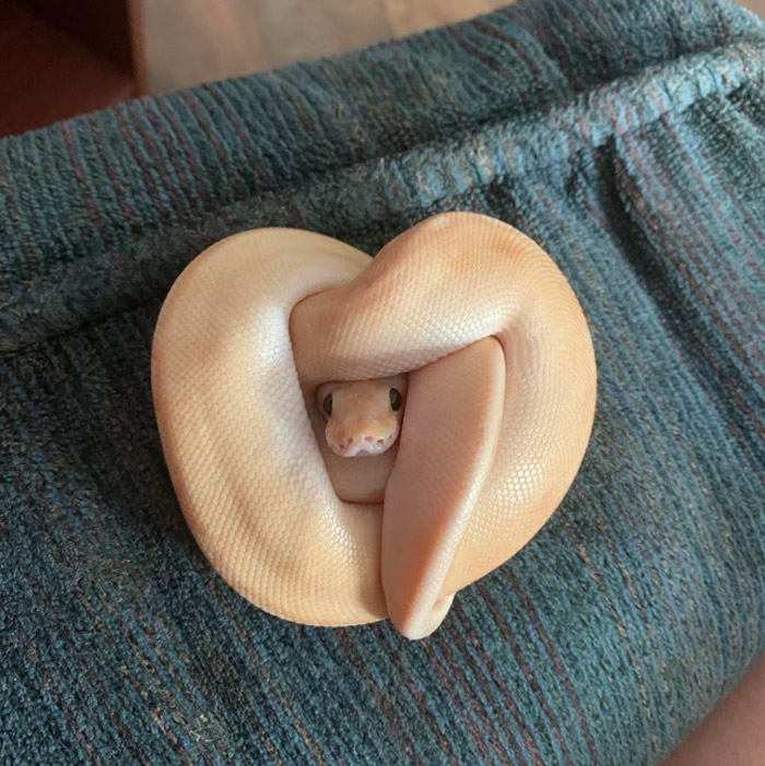 Gracie Made A Mother’s Day Heart For Me