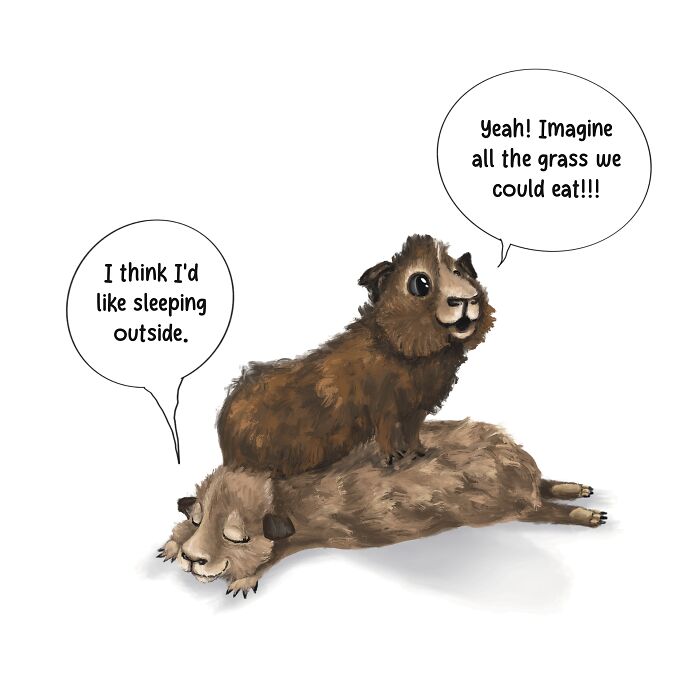 I Self-Published My Own Book "The Adventures Of Guinea Butt And Lacy Loo" (5 Pics) I Self-Published My Own Book "The Adventures Of Guinea Butt And Lacy Loo" (5 Pics)