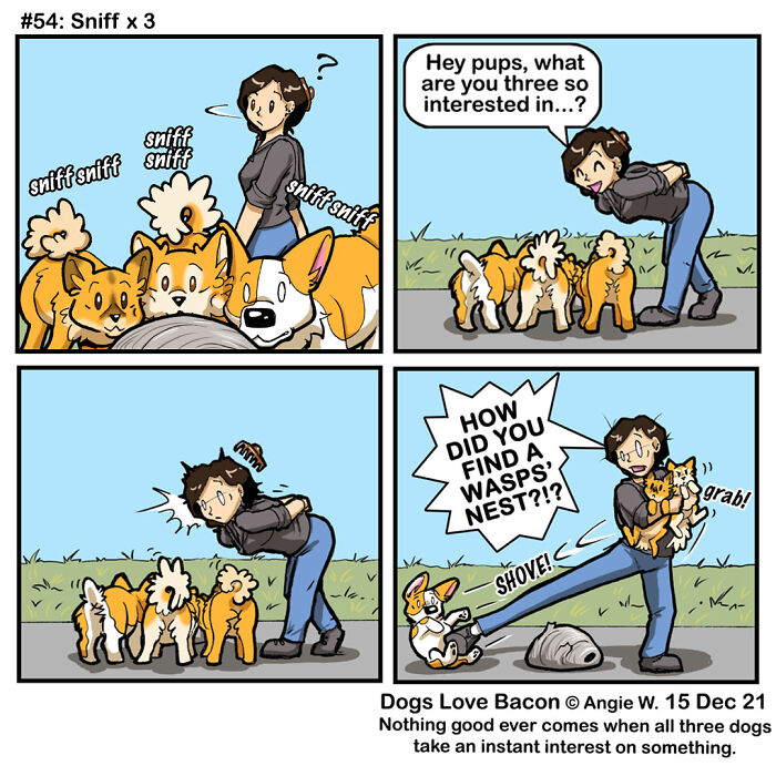 I Started A Comic About My Rescue Dogs, And Here Are Some More Comics!