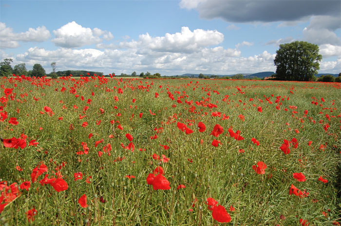 40 Bits Of Knowledge People Learnt That Feel Almost Illegal To Know, Shared In This Online Group