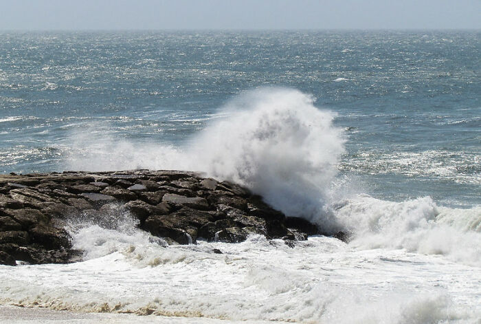 32 Folks Who Could Have Met Their End Due To Their Own Stupidity, As Shared Online