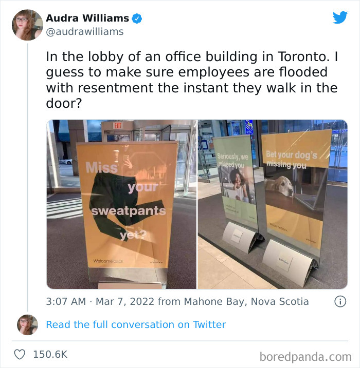 This Is Workplace Harassment 😭
bet Your Ass I'd Be Coming Back The Next Day In Sweatpants With My Dog Right Next To Me.
via @audrawilliams