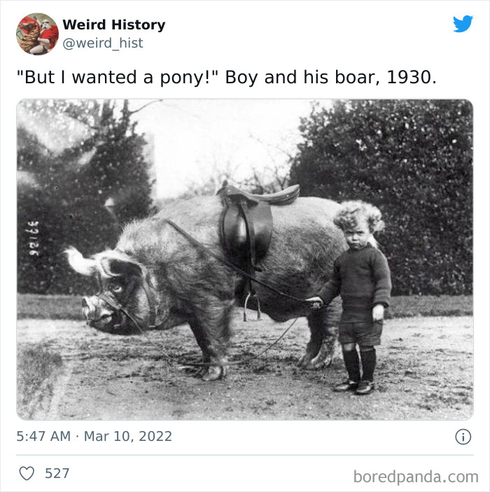 Vintage black and white photo of a boy with a large boar, illustrating weird history’s odd and interesting moments.