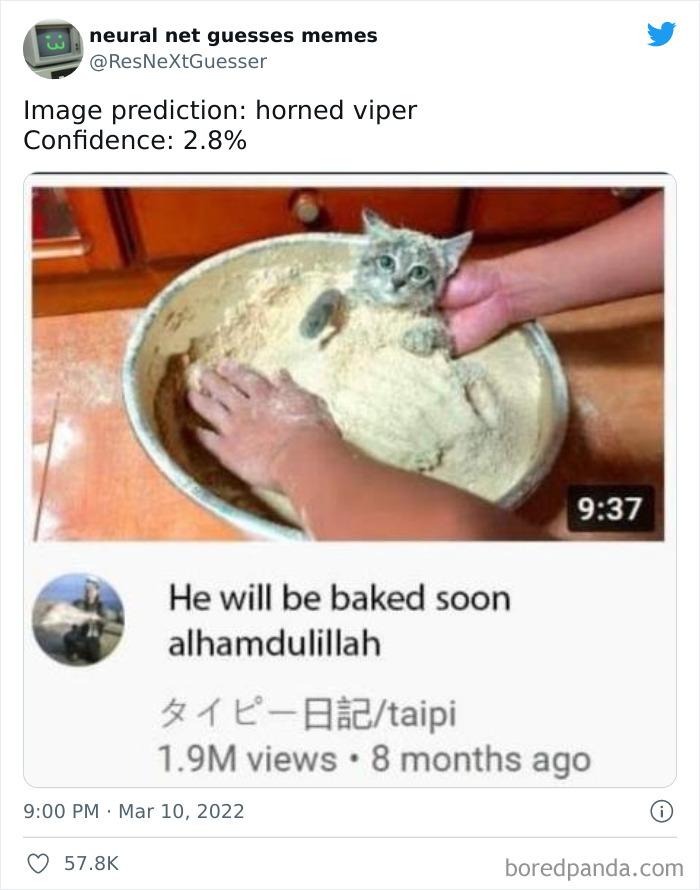 Neural-Net-Guesses-Memes-Pics