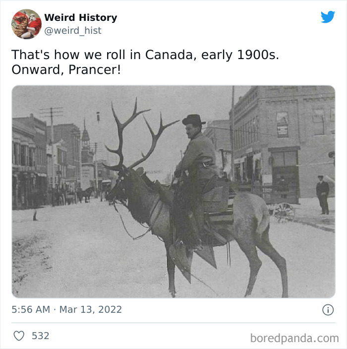 Man riding a large deer on a snowy street in early 1900s Canada, showcasing weird history and odd moments.