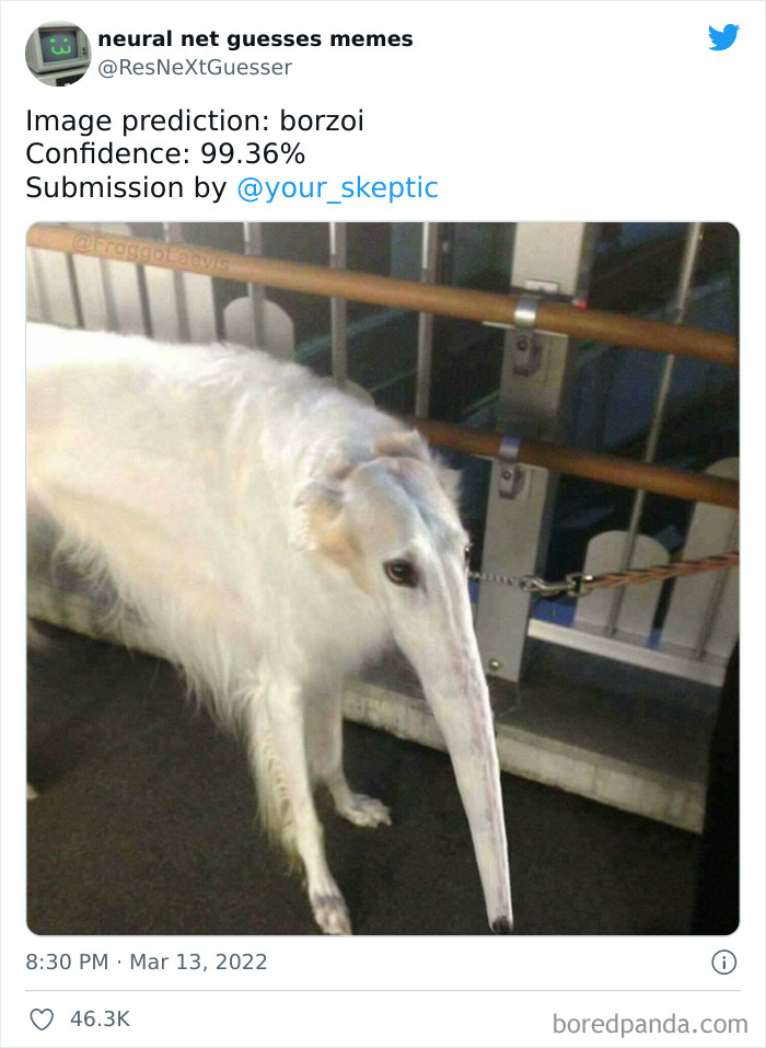 Neural-Net-Guesses-Memes-Pics