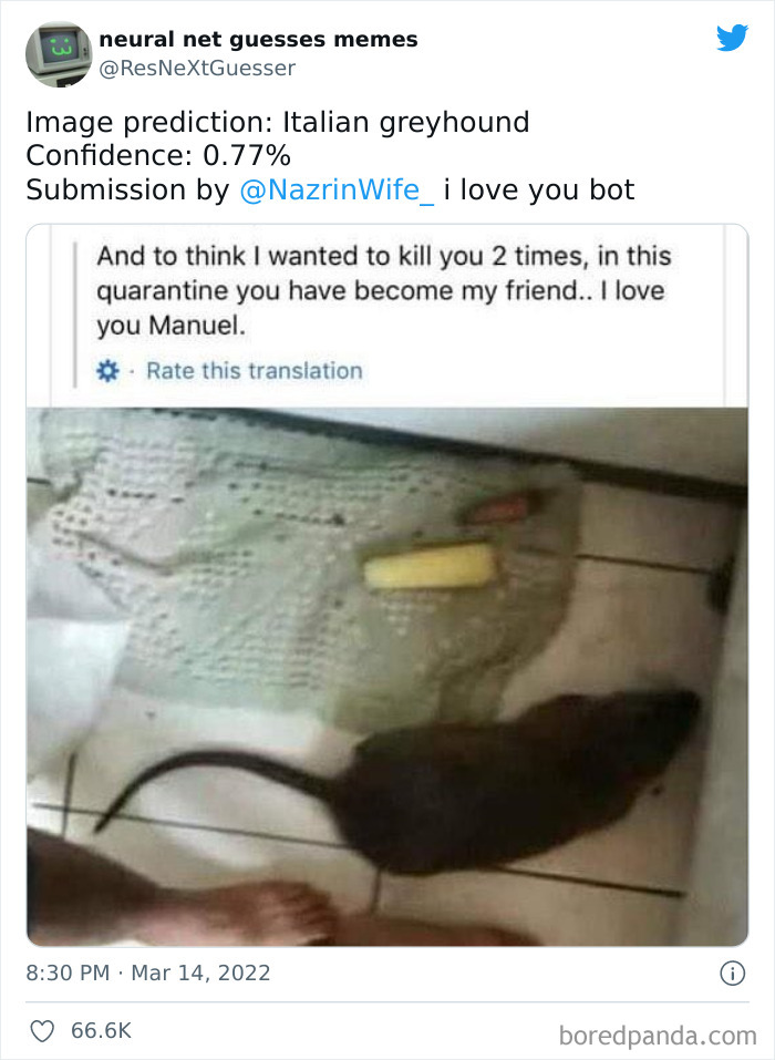 Neural-Net-Guesses-Memes-Pics