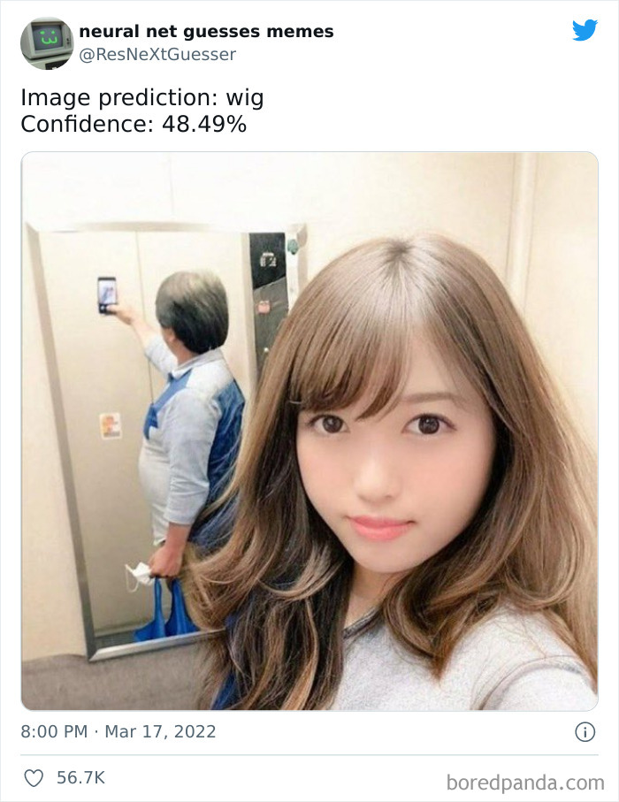 Neural-Net-Guesses-Memes-Pics