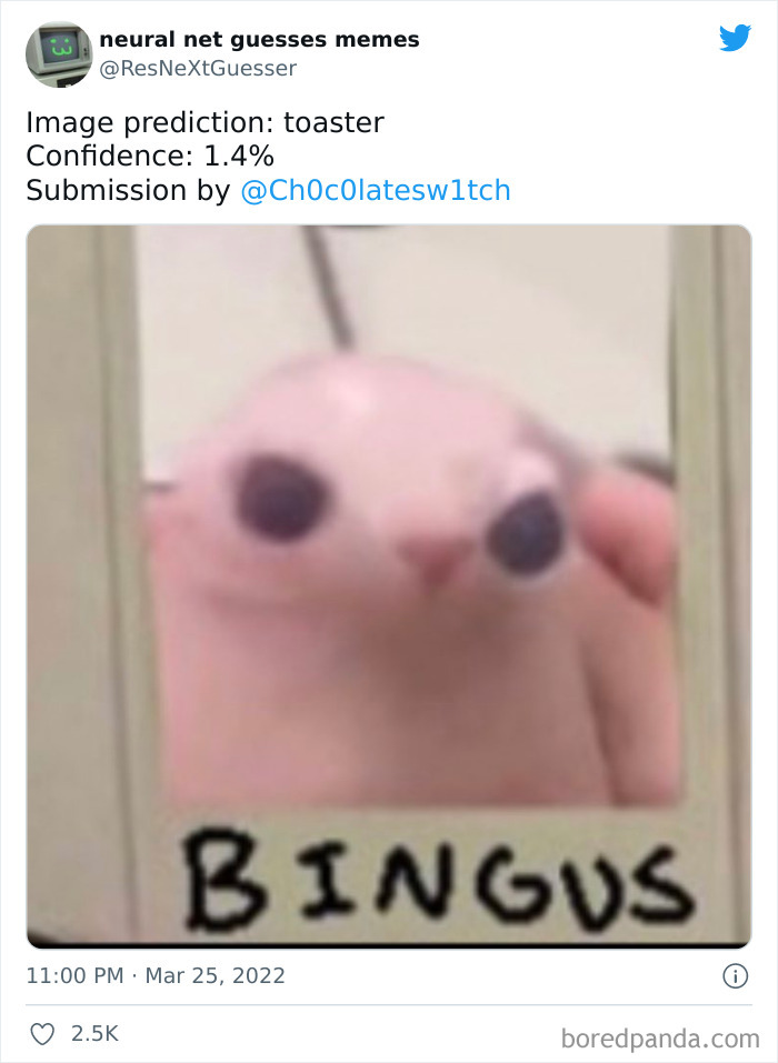 Neural-Net-Guesses-Memes-Pics