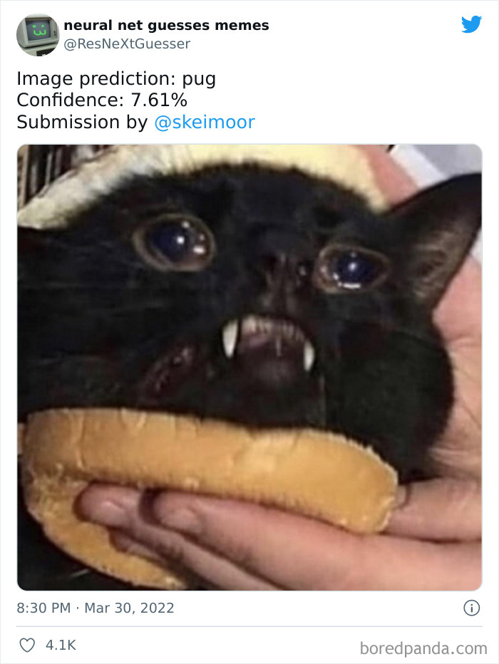 Neural-Net-Guesses-Memes-Pics