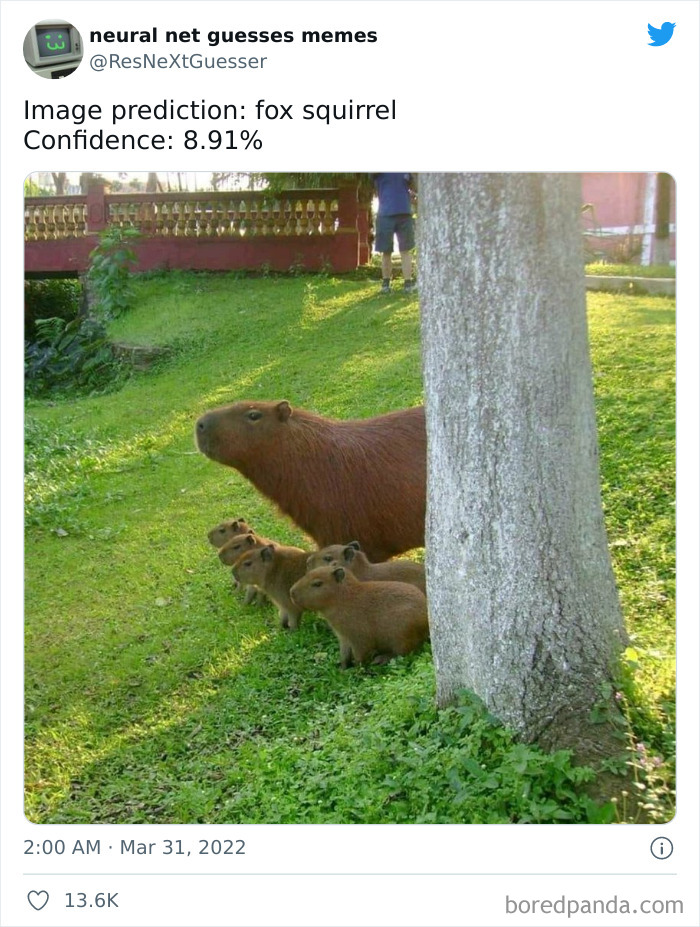 Neural-Net-Guesses-Memes-Pics