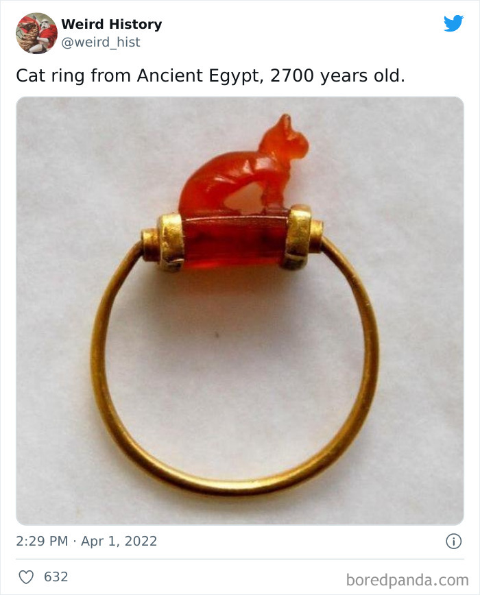 Ancient Egyptian cat ring 2700 years old showcasing weird history and interesting ancient artifacts.