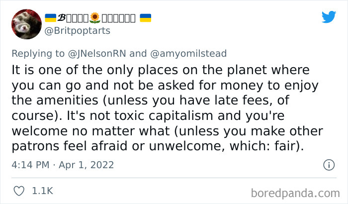 Heartwarming-Librarian-Stories