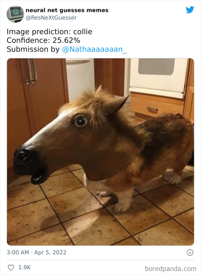 Neural-Net-Guesses-Memes-Pics