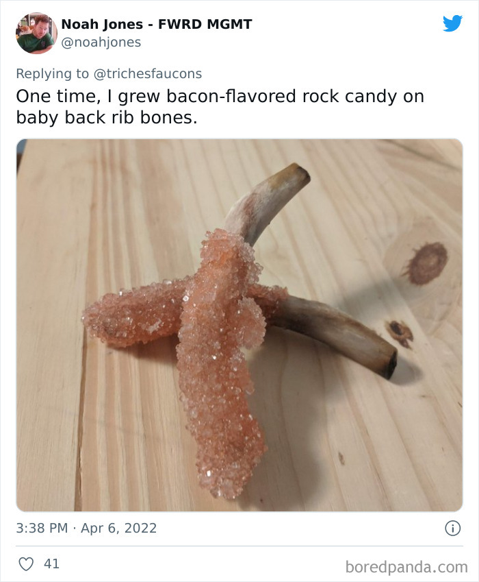 Cancelable-Food-Takes-Opinions-Twitter