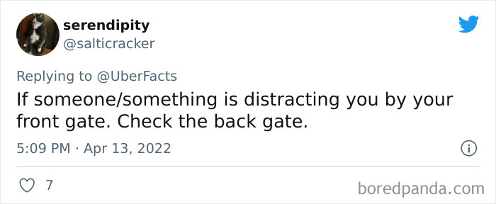 People-Share-Street-Smart-Tips-Advice