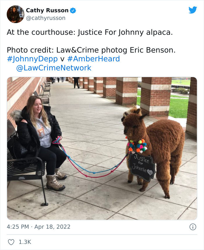 Johnny Depp&rsquo;s Fan Brought Two Emotional Support Alpacas Outside The Court To &ldquo;Brighten His Day&rdquo;