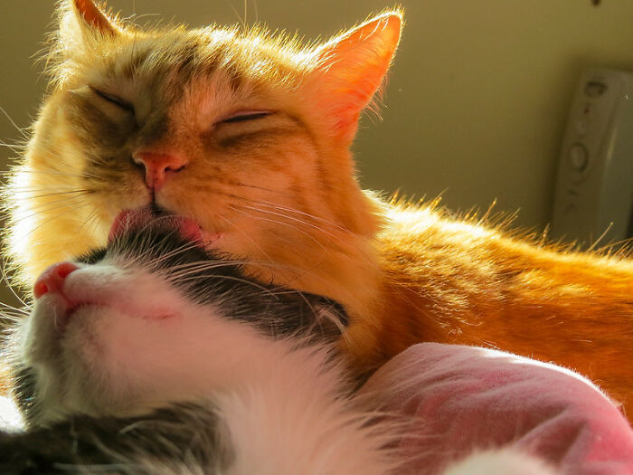 30 Of The Darkest Realities People Often Choose To Live In Denial About, As Shared By Folks Online