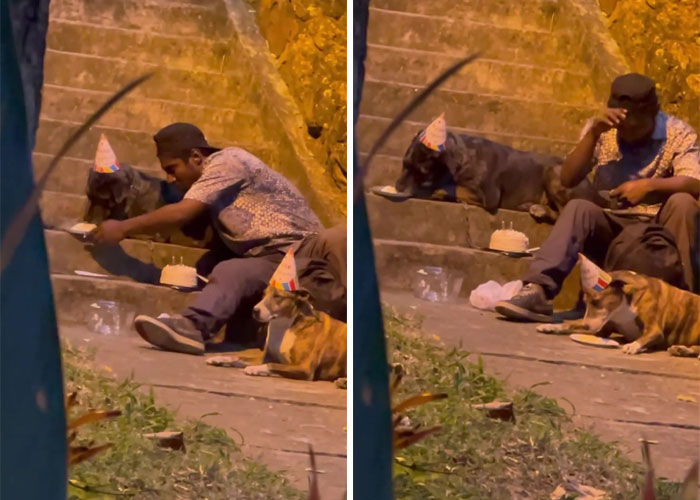 Homeless Man&rsquo;s Birthday Party For His Dog Warms The Hearts Of Many, Leading To A Better Life For Them All