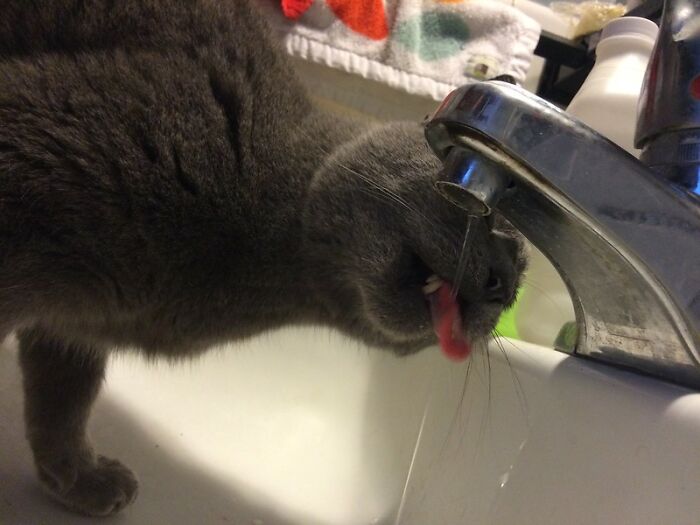 Someone In This Online Group Asked “What Was Something That Shocked You When You Visited A Foreign Country?” And 35 People Delivered