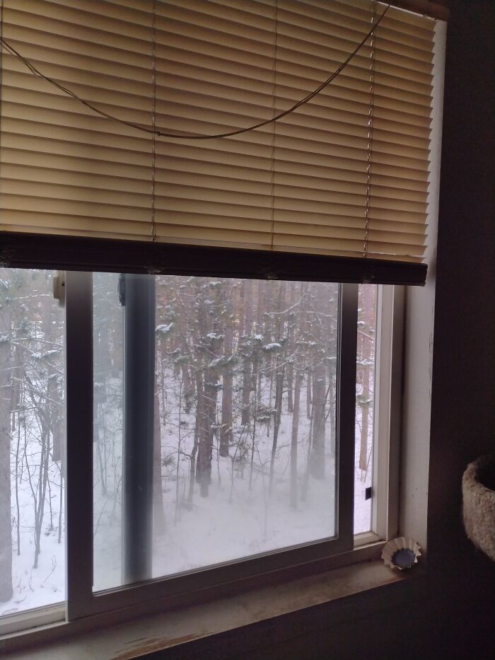 I Woke Up To This...