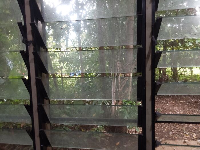 Lots Of Dirt In My Windows Smh