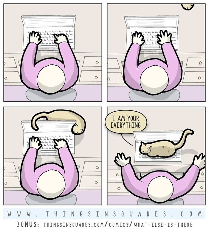 50 Lighthearted Comics By Things In Squares