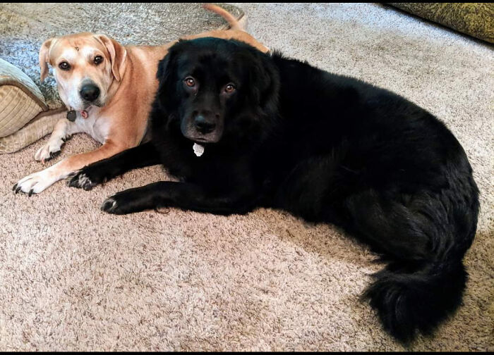 Millie May (2017) Clara Bena (2012)