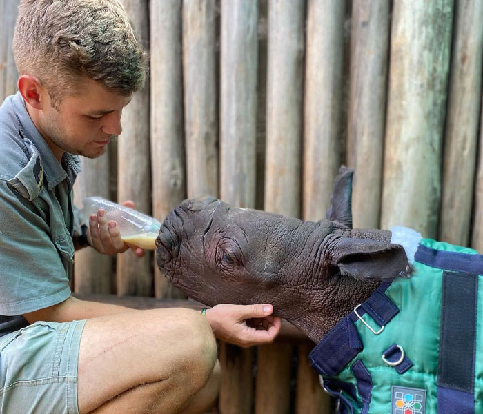 Orphan Rhino Sanctuary Finds An Abandoned Zebra And Takes It Under Their Care, Gifting A Best Friend To One Of The Rhinos There Orphan Rhino Sanctuary Finds An Abandoned Zebra And Takes It Under Their Care, Gifting A Best Friend To One Of The Rhinos There