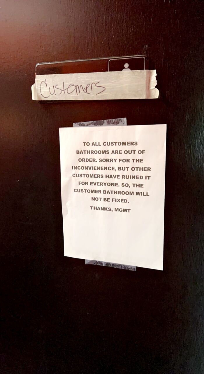 Should I Just Go Out Back, Then?