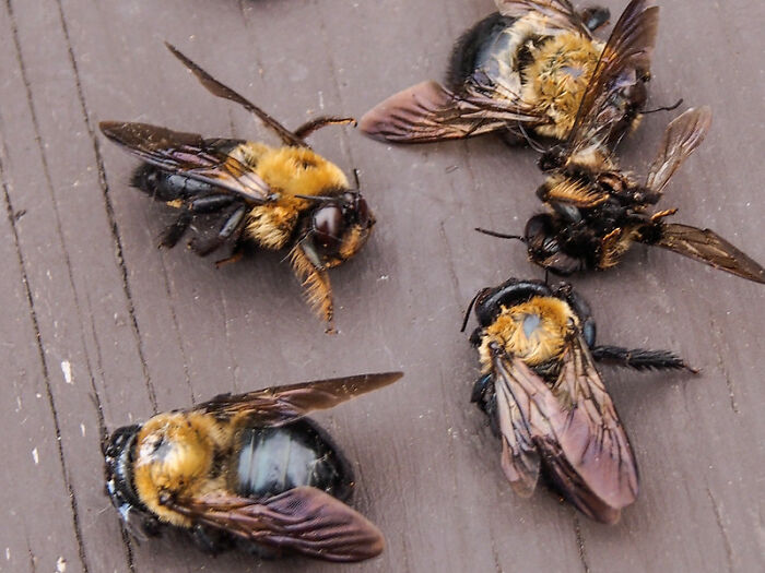 30 Funny, Petty, And Rude Things People Have Seen Done To Customers' Orders At Restaurants