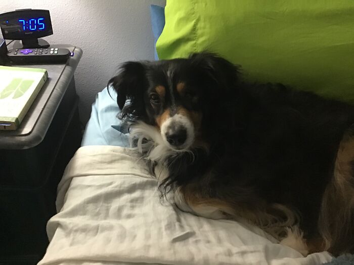 Not Really Special Needs, But This Is Jack, He Only Has One Eye So He Gets Startled Pretty Easily. Especially If You Approach Him On His Blind Side. However, He’s An Absolute Love-Bug And A Sucker For Attention.