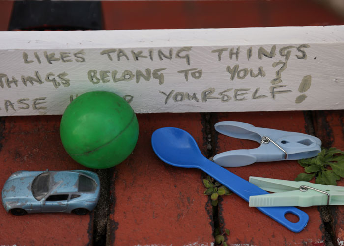 ‘Klepto Cat’ Steals So Many Items From Neighbors, The Family Had To Set Up A Reclamation Shelf ‘Klepto Cat’ Steals So Many Items From Neighbors, The Family Had To Set Up A Reclamation Shelf