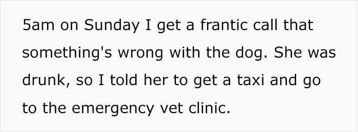 Man Gets Furious After Fiancée’s Carelessness Gets His Dog Sick, Cancels The Wedding Man Gets Furious After Fiancée’s Carelessness Gets His Dog Sick, Cancels The Wedding