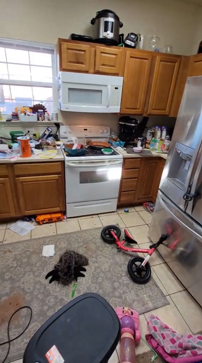 People Are Torn About This &ldquo;Lazy&rdquo; Mom Of 4 And Her Honest View Of Her House After 4 Days Of Not Cleaning