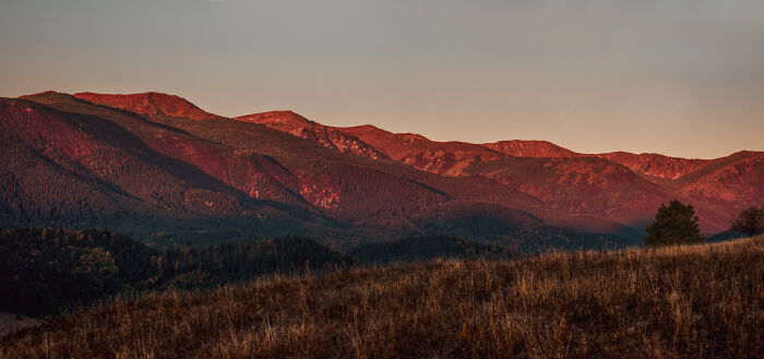 Sunset over the Ukrainian Carpathians with red mountain peaks and a grassy foreground in soft evening light.